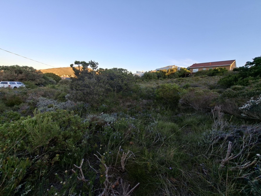 0 Bedroom Property for Sale in Pringle Bay Western Cape